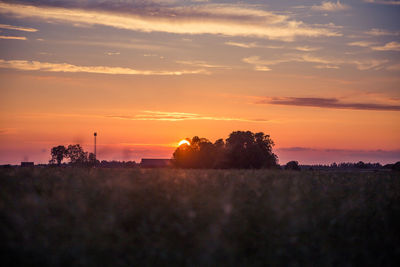 Silhouette trees on field against sky during sunset