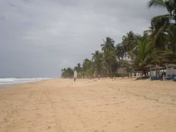 beach, sand, sea, palm tree, nature, tree, incidental people, beauty in nature, scenics, sky, tranquility, day, cloud - sky, water, outdoors, tranquil scene, vacations, one person, people