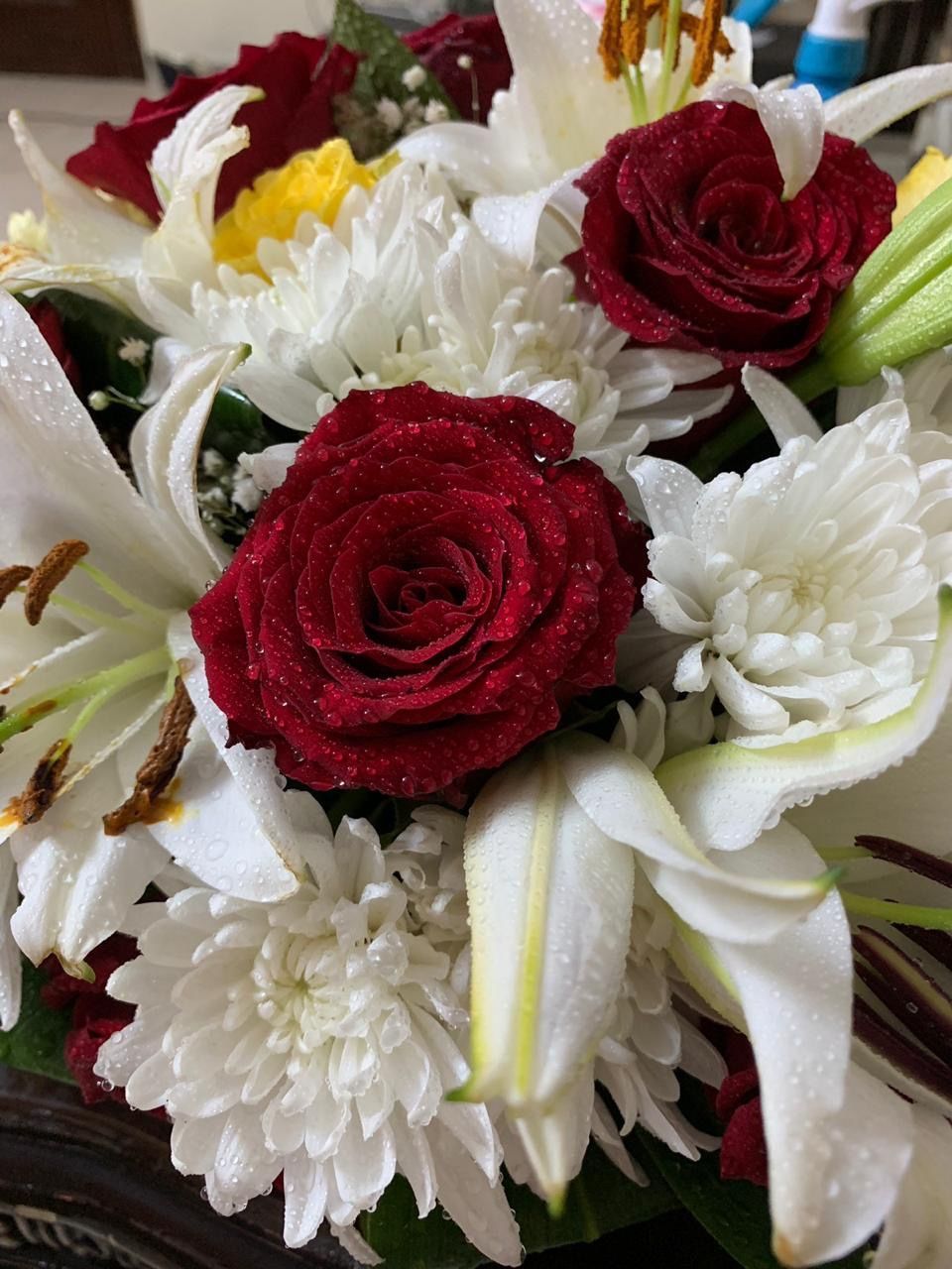 CLOSE-UP OF WHITE ROSES