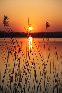 Scenic view of lake against orange sky