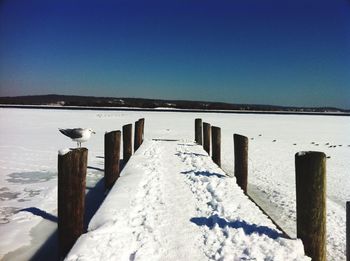 Wooden posts in snow against clear blue sky