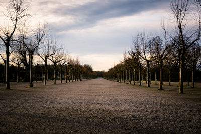 Bare trees on field against sky during sunset at drottningholm palace, stockholm, sweden.