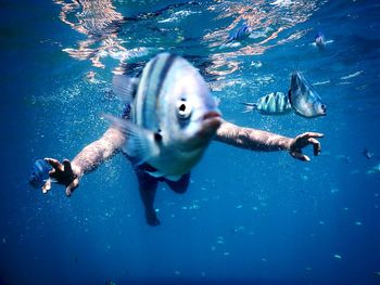 Man swimming in sea