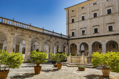 Potted plants outside building