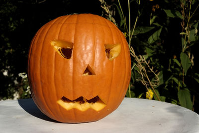 Close-up of pumpkin against orange wall