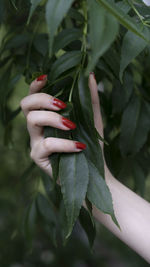 Hand with red nailpolish in nature 