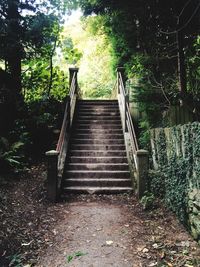 Staircase in forest