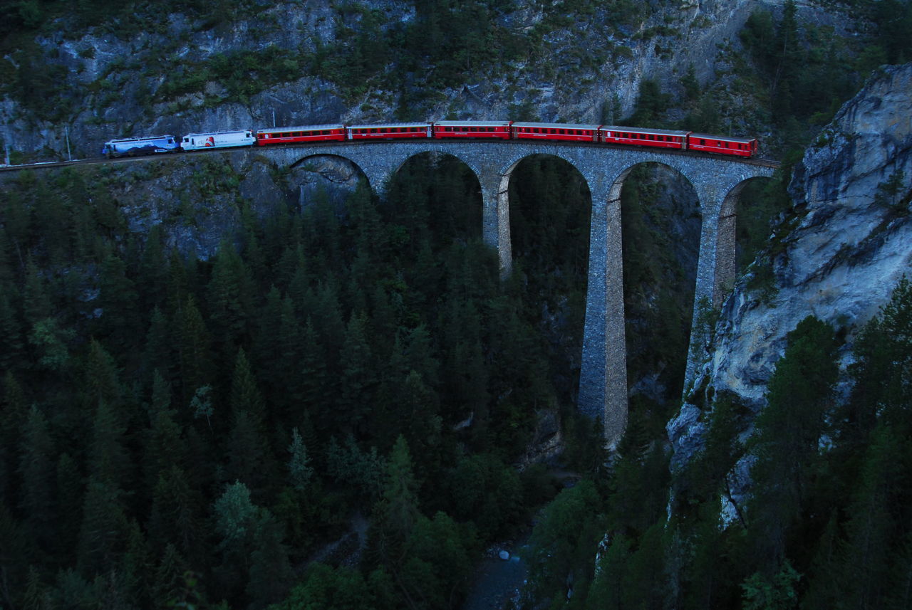 ARCH BRIDGE OVER FOREST