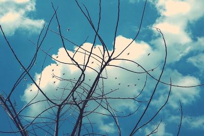 Low angle view of cloudy sky