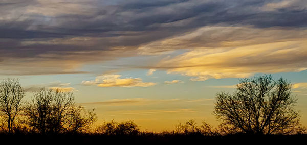 Silhouette trees on field against sky at sunset