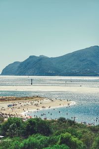 Scenic view of beach against clear blue sky