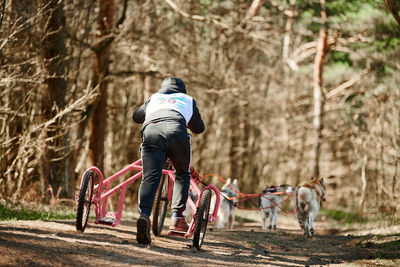 Rear view of man riding bicycle