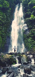 Scenic view of waterfall in forest