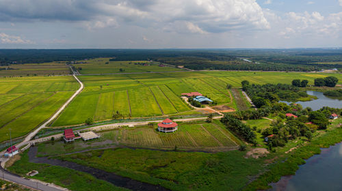 Aerial view of agriculture land, paddy fields in sungai rambai, melaka, malaysia