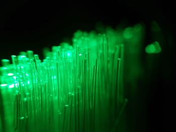 Defocused image of illuminated lights against black background