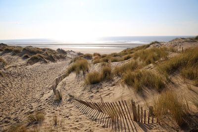 Scenic view of beach against sky