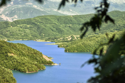 High angle view of river amidst trees