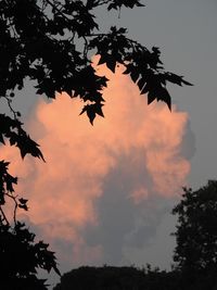 Low angle view of silhouette tree against sky at sunset