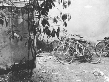 Bicycle against wall in city