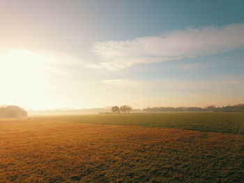 Scenic view of field against sky