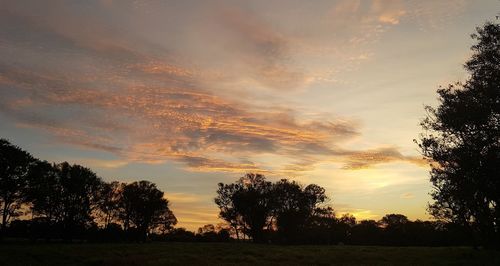 Silhouette trees on field against sky at sunset