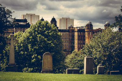 Trees and buildings against sky