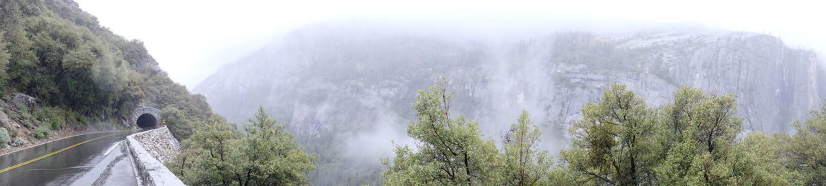 Low angle view of panoramic shot of trees against sky