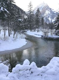 Scenic view of snow covered trees by mountains