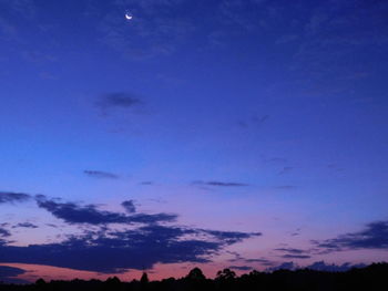 Low angle view of silhouette trees against sky at sunset