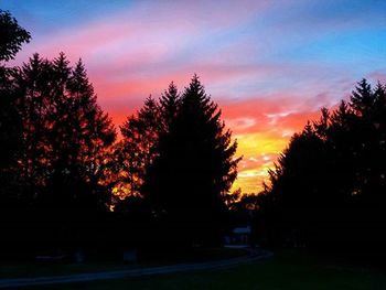 Silhouette of trees at sunset