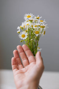 Beautiful daisies in a light vase.