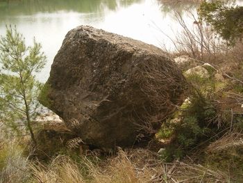 Rocks in sea