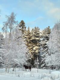 Snow covered field