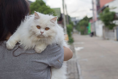 Rear view of woman carrying cat on shoulder at footpath