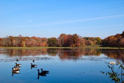 Landscape water reflections 