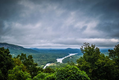 High angle view of trees by sea