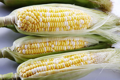 Close up of fresh sweet corn