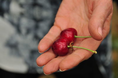 Close-up of hand holding strawberries