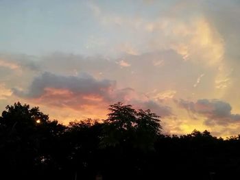 Silhouette of trees at sunset