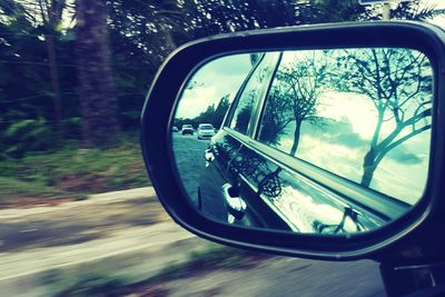 Reflection of trees in side-view mirror