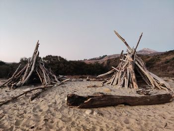 Savage structure strung along a strand of beach