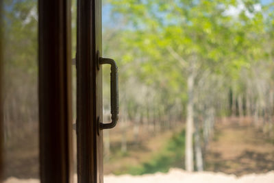 Close-up of window