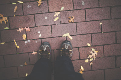 Low section of man standing by fallen dry leaves on footpath