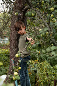 High angle view of boy standing amidst plants