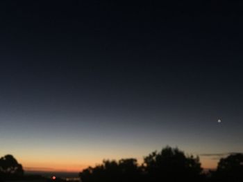 Silhouette trees against sky at night