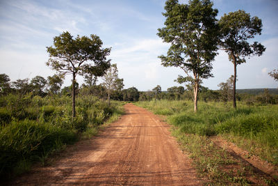 Dirt road along trees on field against sky