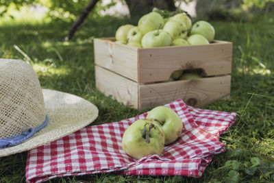 Fruits in basket on field