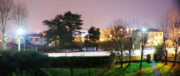 Trees and illuminated city against sky at night