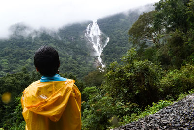 Rear view of boy standing on dudhsagar trek