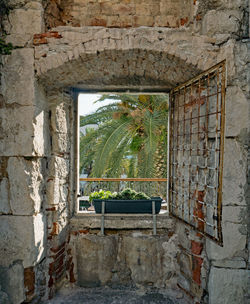 Window of old building